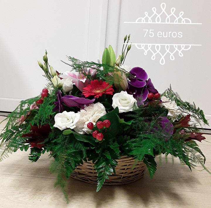 Fleurs