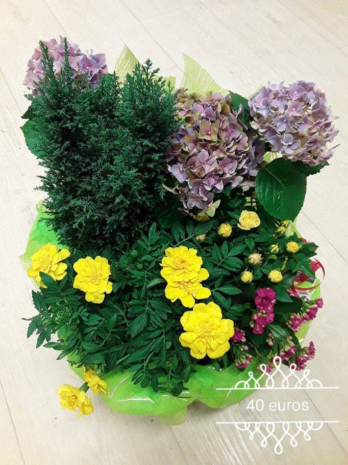Fleurs